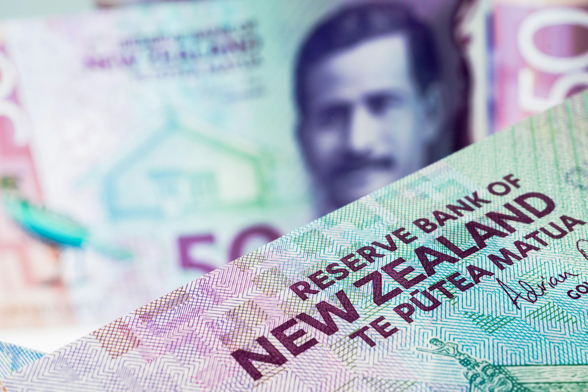 Currency, New Zealand dollar banknotes.