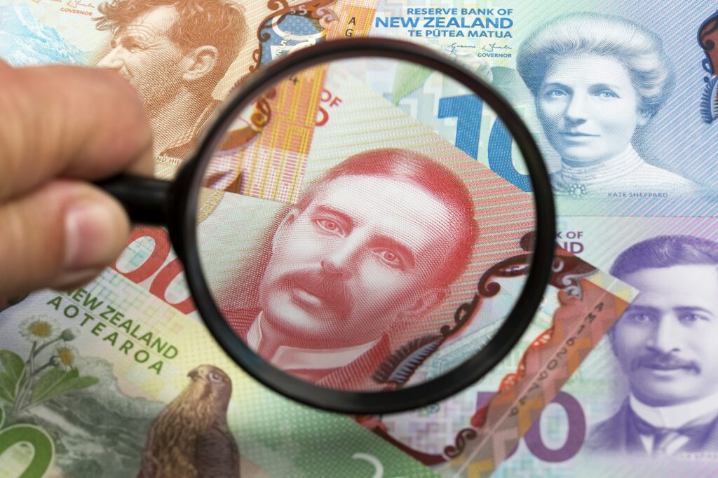 New Zealand dollars in a magnifying glass